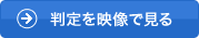 実際の判定を映像で見る