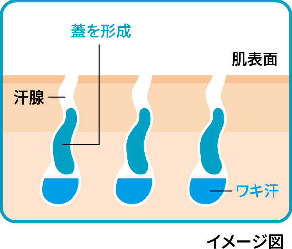 制汗メカニズム図