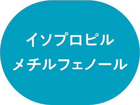 イソプロピル メチルフェノール