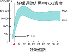 妊娠 分かる 時期