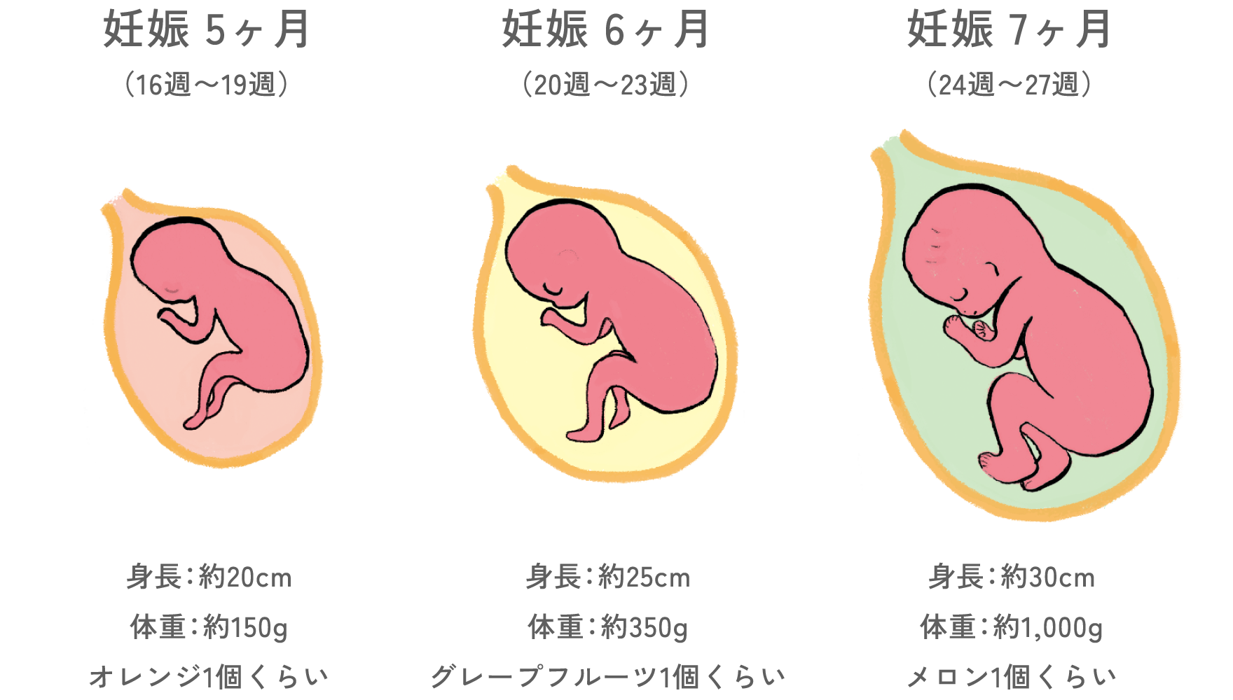 赤ちゃんの様子