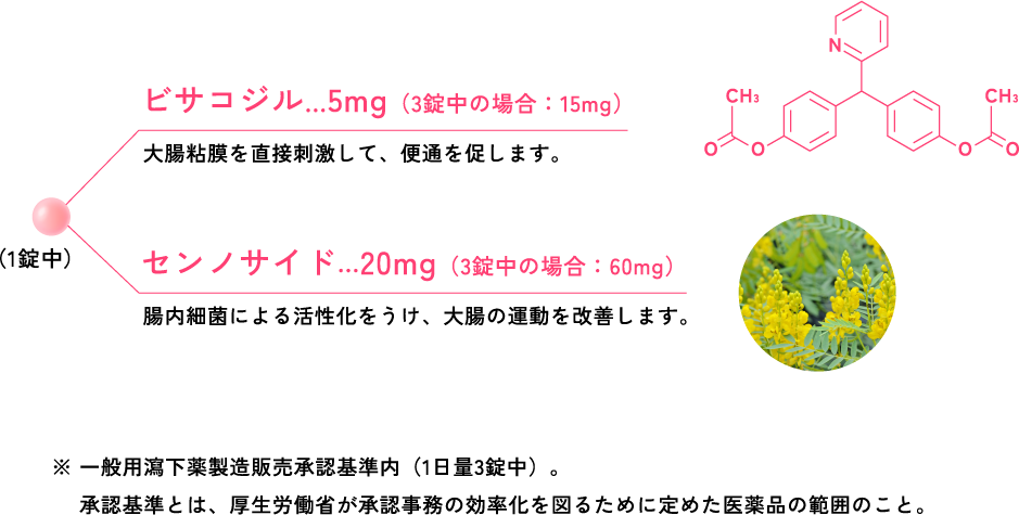 ※ 一般用瀉下薬製造販売承認基準内（1日量3錠中）。承認基準とは、厚生労働省が承認事務の効率化を図るために定めた医薬品の範囲のこと。
