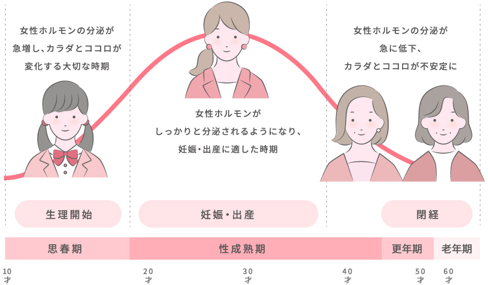 女性ホルモンの変化