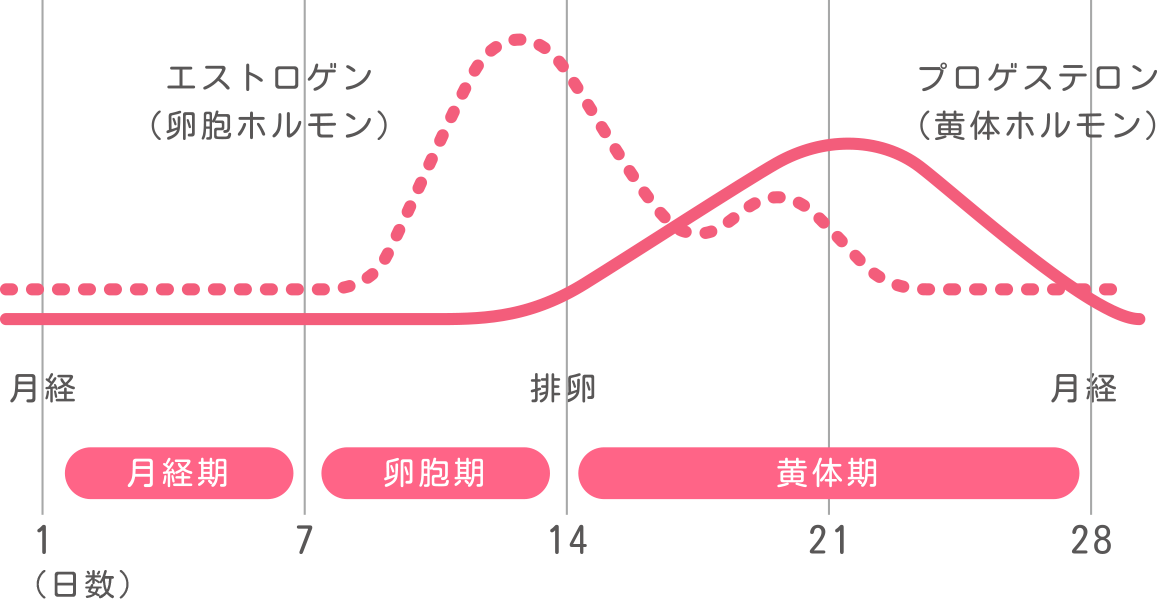 Pms 月経前症候群 の原因とセルフケア 生理痛にノーシンピュア 株式会社アラクス