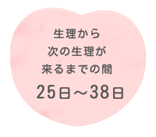 生理から次の生理がくるまでの間25〜38日