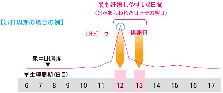 した 以外 排卵 日 妊娠