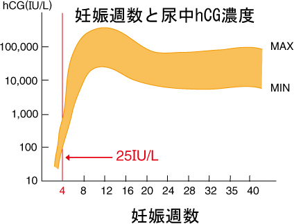 早期 妊娠 検査 薬 陰性